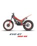 画像4: 2025 Beta Evo 2T 125/200/250/300/300SS・4Ｔ300