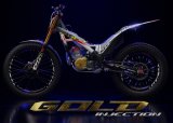 2025　ＴＲＳ　ＧＯＬＤ