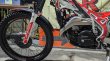 画像2: 2021　Beta　Evo　250　【中古車】 (2)